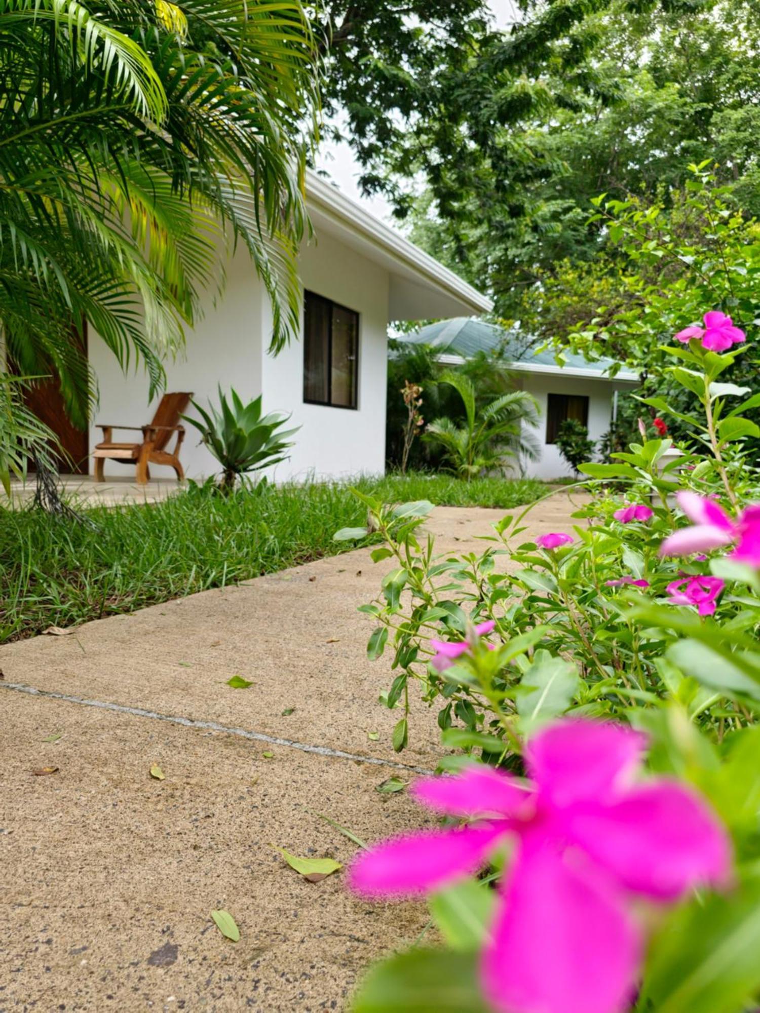 Buddha Retreat Hotel San Juanillo Exteriér fotografie