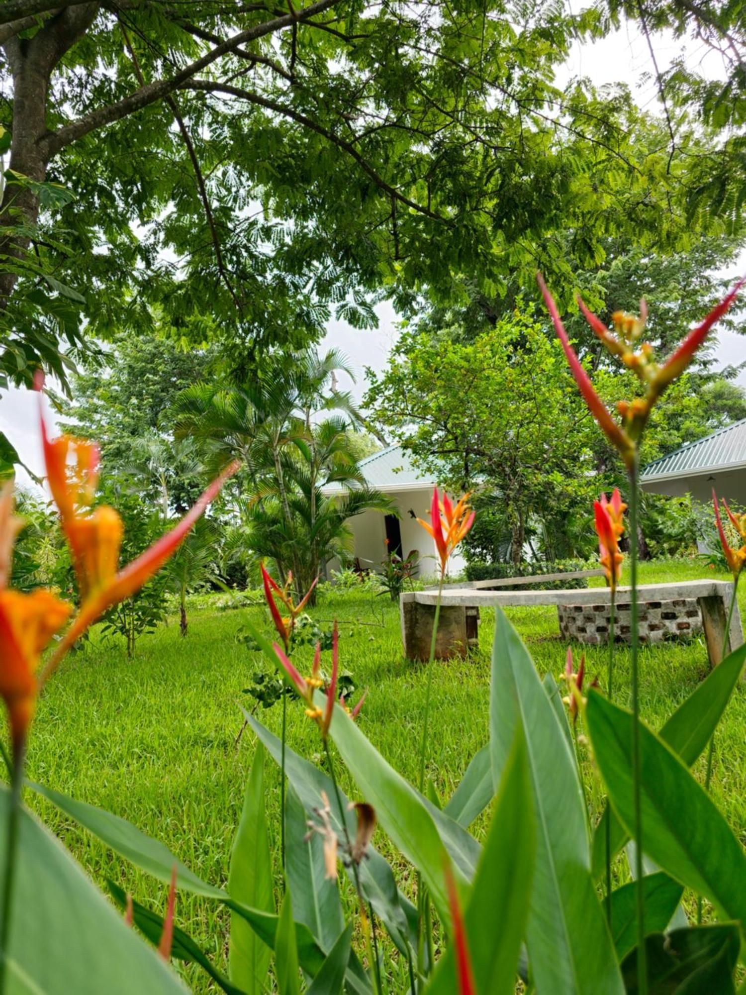 Buddha Retreat Hotel San Juanillo Exteriér fotografie