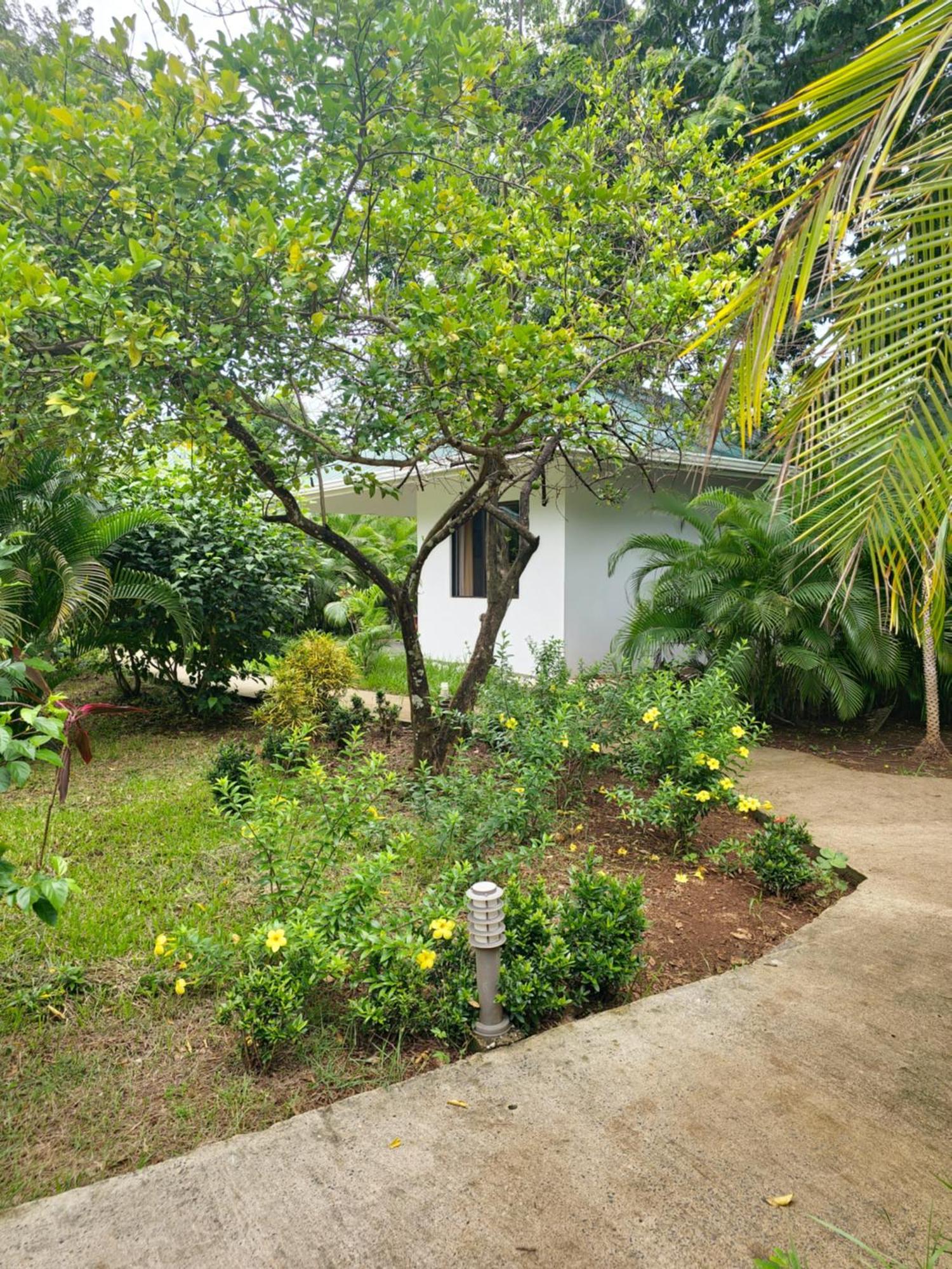 Buddha Retreat Hotel San Juanillo Exteriér fotografie