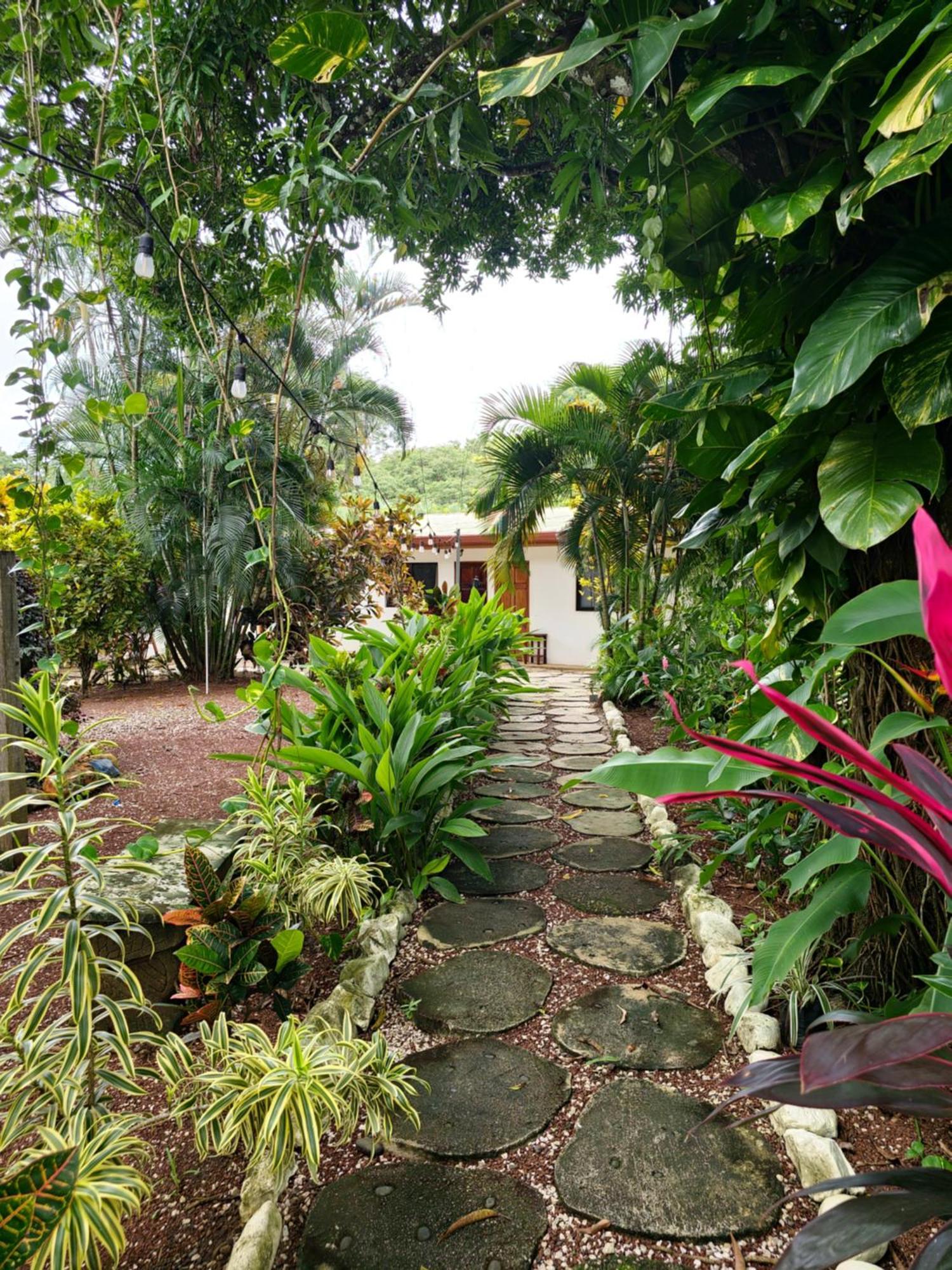 Buddha Retreat Hotel San Juanillo Exteriér fotografie